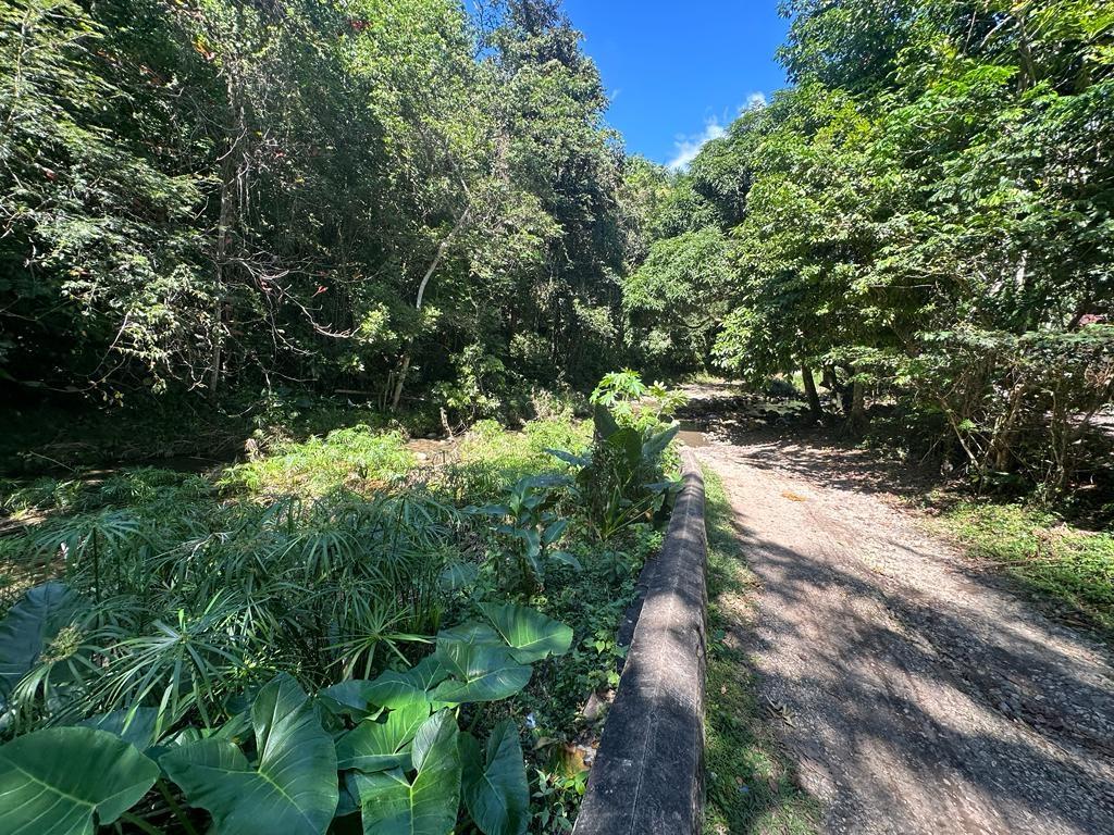 Second image of Rio Mango Estate in Rio Mango, St. Catherine, Jamaica - property is For Sale