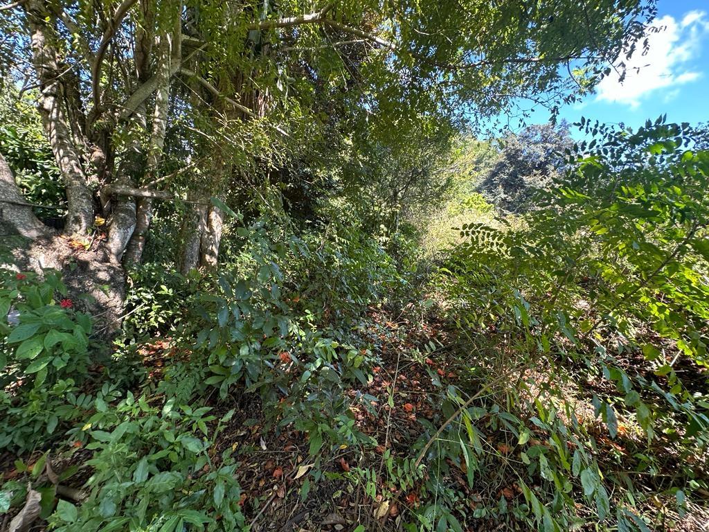 Third image of Rio Mango Estate in Rio Mango, St. Catherine, Jamaica - property is For Sale