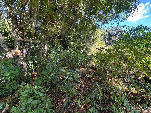 Third image of Rio Mango Estate in Rio Mango, St. Catherine, Jamaica - property is For Sale