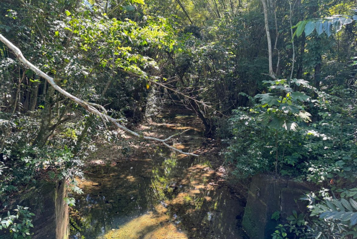 Fourth image of Rio Mango Estate in Rio Mango, St. Catherine, Jamaica - property is For Sale