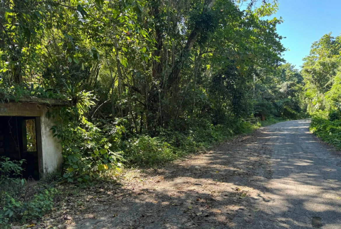 Fifth image of Rio Mango Estate in Rio Mango, St. Catherine, Jamaica - property is For Sale