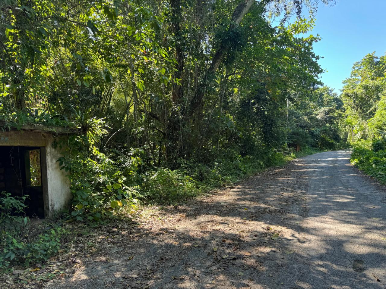 Fifth image of Rio Mango Estate in Rio Mango, St. Catherine, Jamaica - property is For Sale