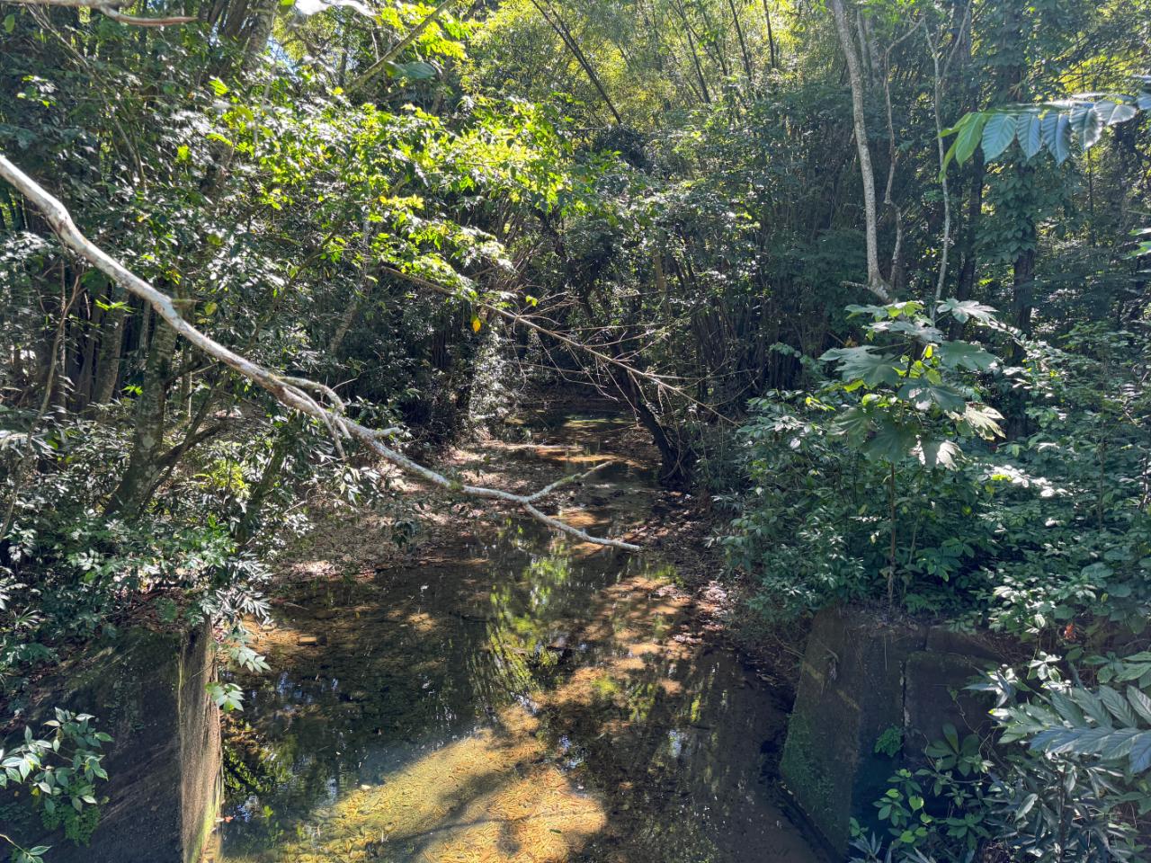 Sixth image of Rio Mango Estate in Rio Mango, St. Catherine, Jamaica - property is For Sale