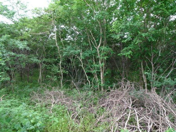 Second image of 171 Creek Avenue in Hartlands, St. Catherine, Jamaica - property is For Sale