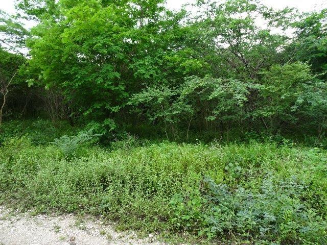 Third image of 171 Creek Avenue in Hartlands, St. Catherine, Jamaica - property is For Sale