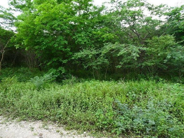 Third image of 171 Creek Avenue in Hartlands, St. Catherine, Jamaica - property is For Sale
