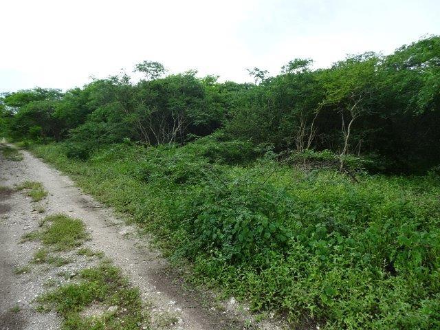 Fourth image of 171 Creek Avenue in Hartlands, St. Catherine, Jamaica - property is For Sale