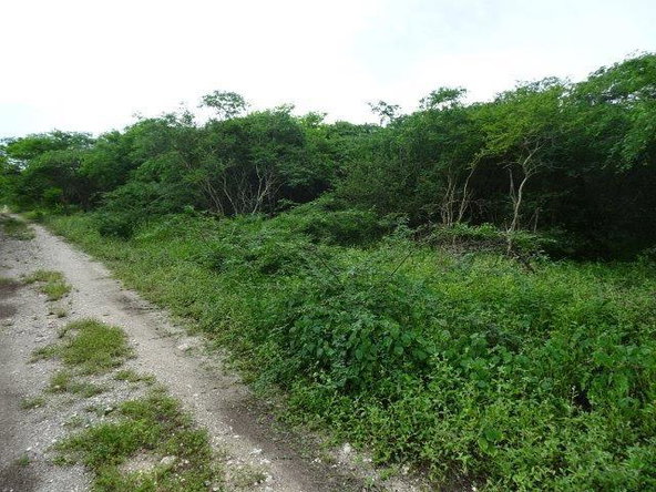 Fourth image of 171 Creek Avenue in Hartlands, St. Catherine, Jamaica - property is For Sale