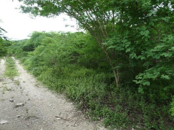 First image of 171 Creek Avenue in Hartlands, St. Catherine, Jamaica - property is For Sale