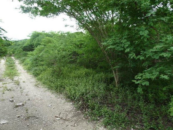 First image of 171 Creek Avenue in Hartlands, St. Catherine, Jamaica - property is For Sale