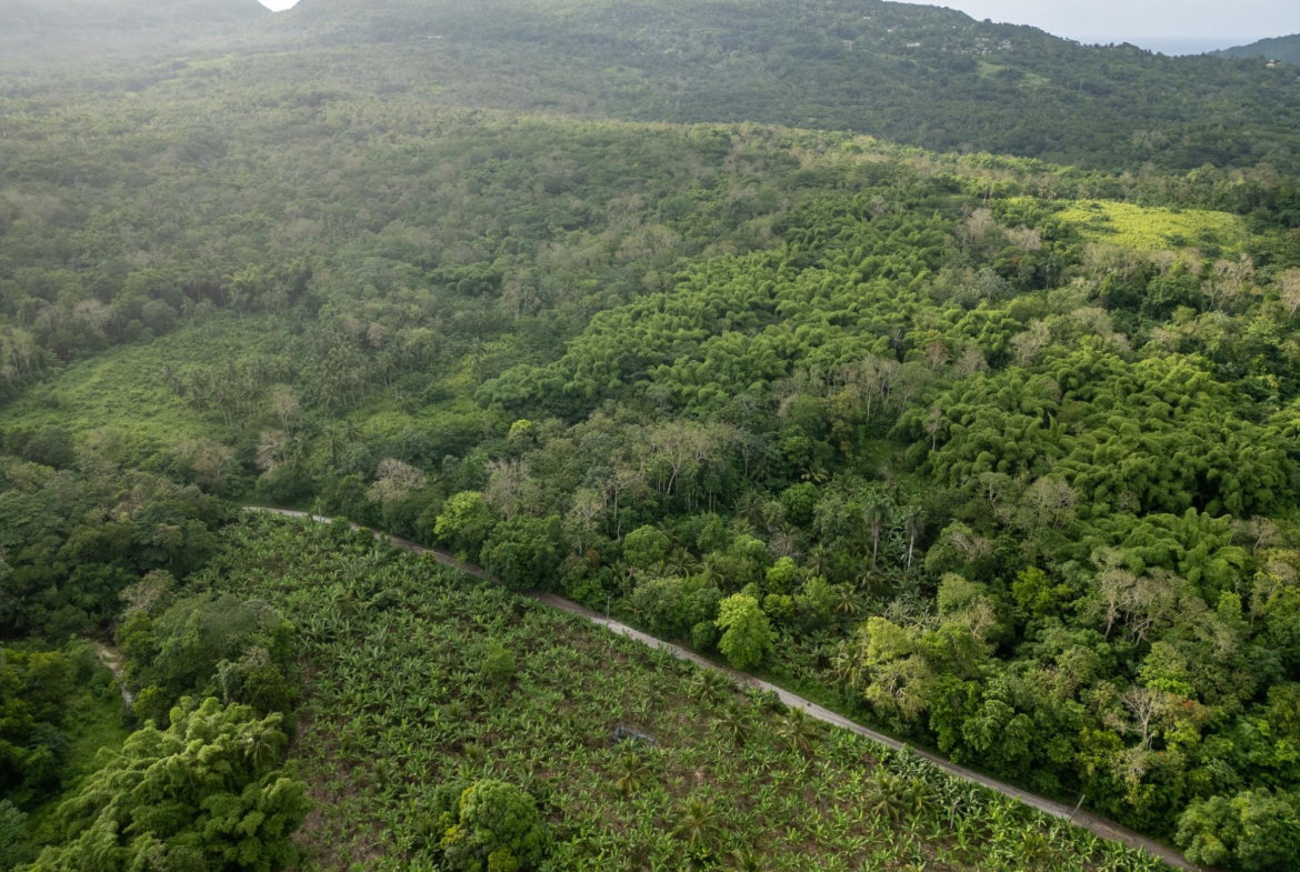Second image of 5 Pemberton Valley in Jacks River, St. Mary, Jamaica - property is For Sale