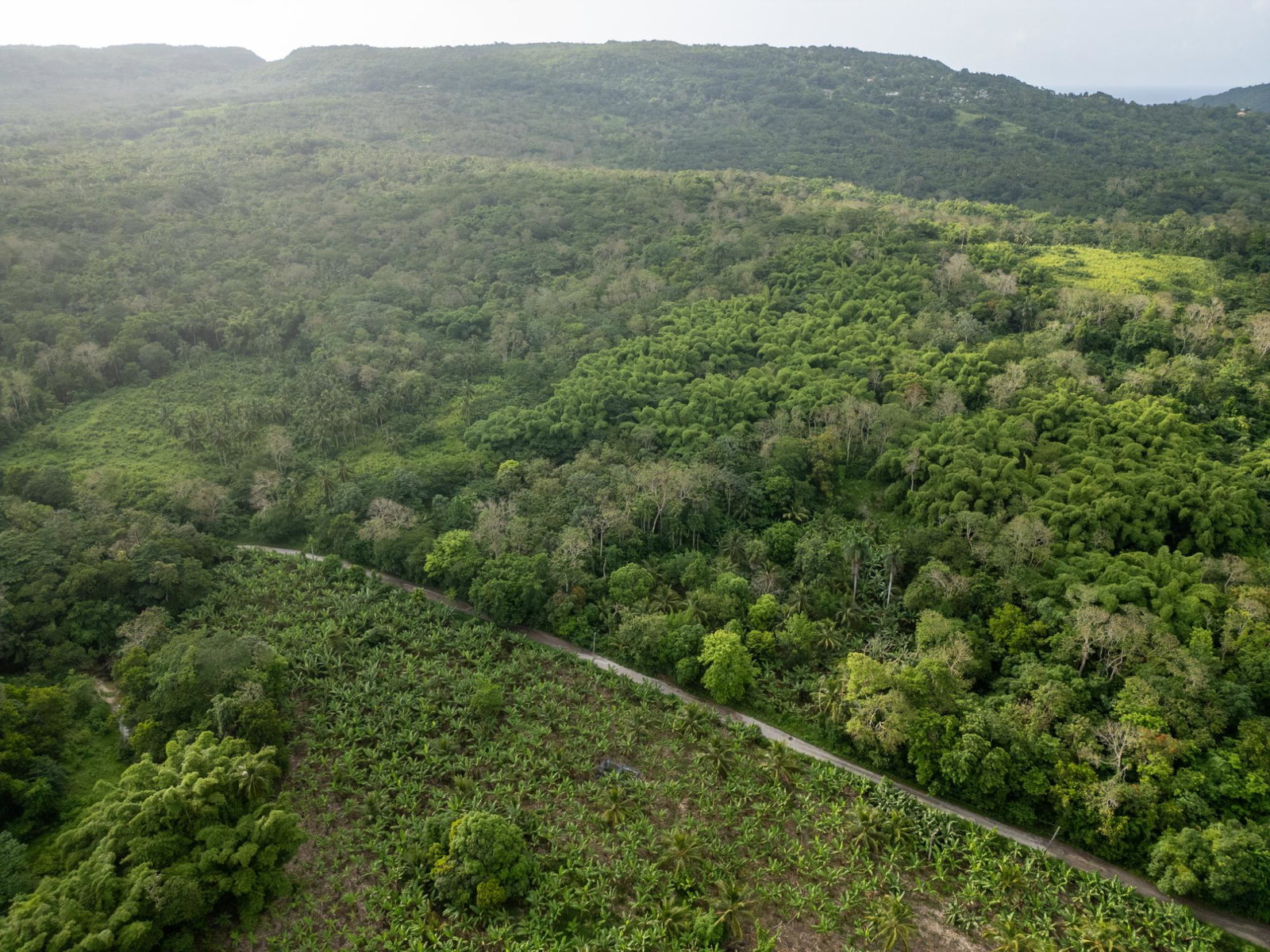 Second image of 5 Pemberton Valley in Jacks River, St. Mary, Jamaica - property is For Sale