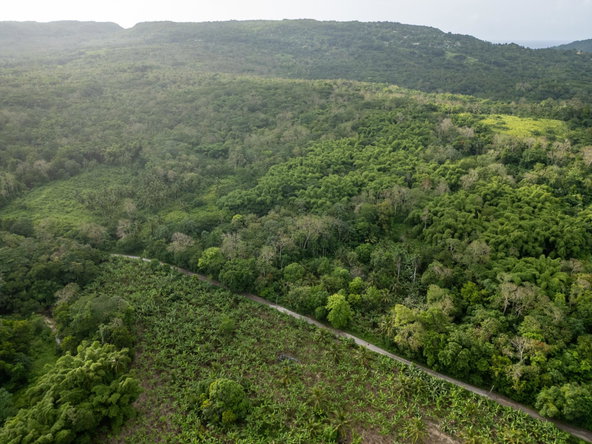 Second image of 5 Pemberton Valley in Jacks River, St. Mary, Jamaica - property is For Sale