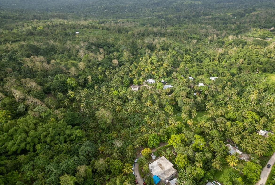 Twelfth image of 5 Pemberton Valley in Jacks River, St. Mary, Jamaica - property is For Sale