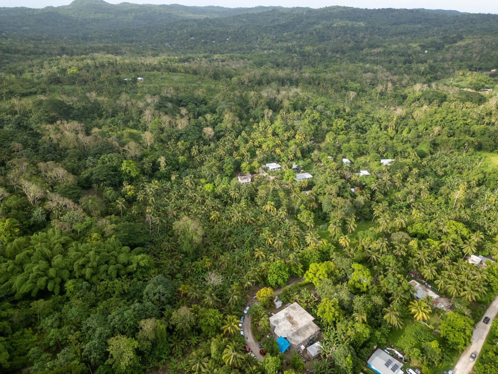 Twelfth image of 5 Pemberton Valley in Jacks River, St. Mary, Jamaica - property is For Sale