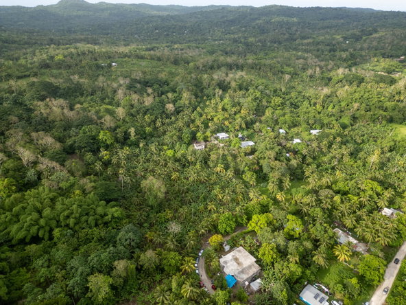 Twelfth image of 5 Pemberton Valley in Jacks River, St. Mary, Jamaica - property is For Sale