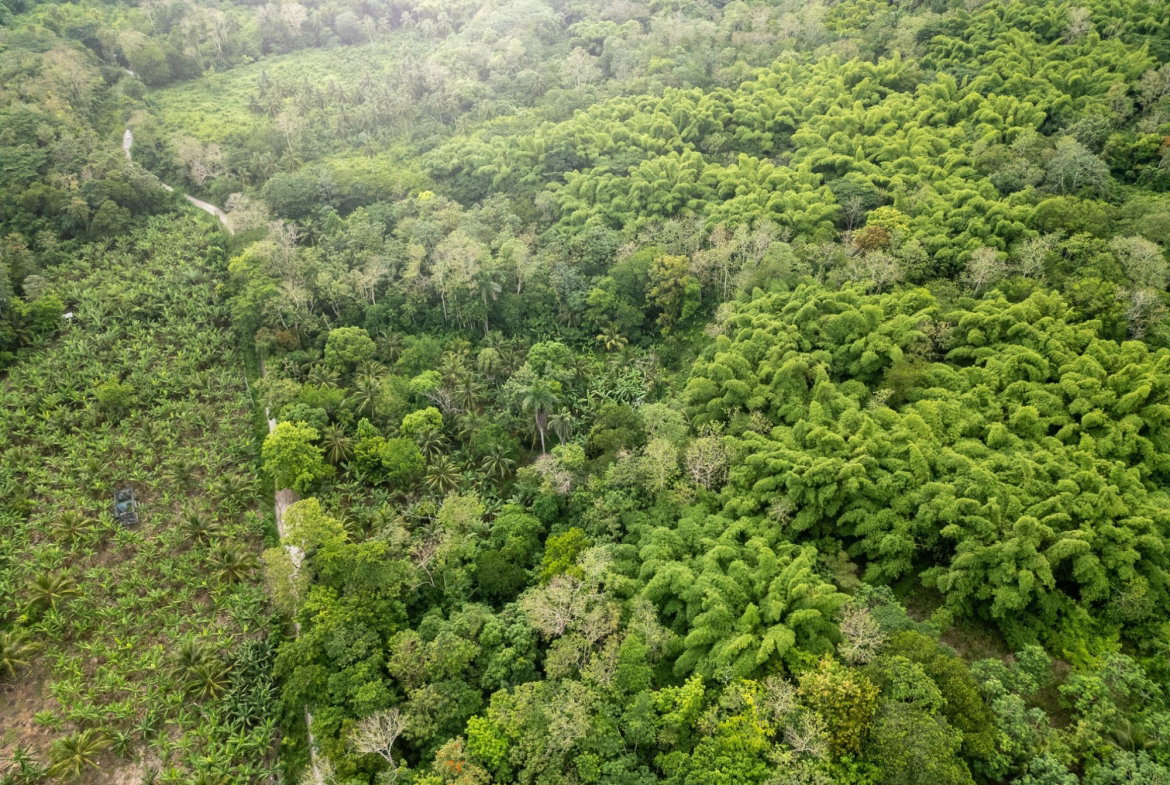 First image of 5 Pemberton Valley in Jacks River, St. Mary, Jamaica - property is For Sale