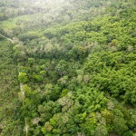 First image of 5 Pemberton Valley in Jacks River, St. Mary, Jamaica - property is For Sale