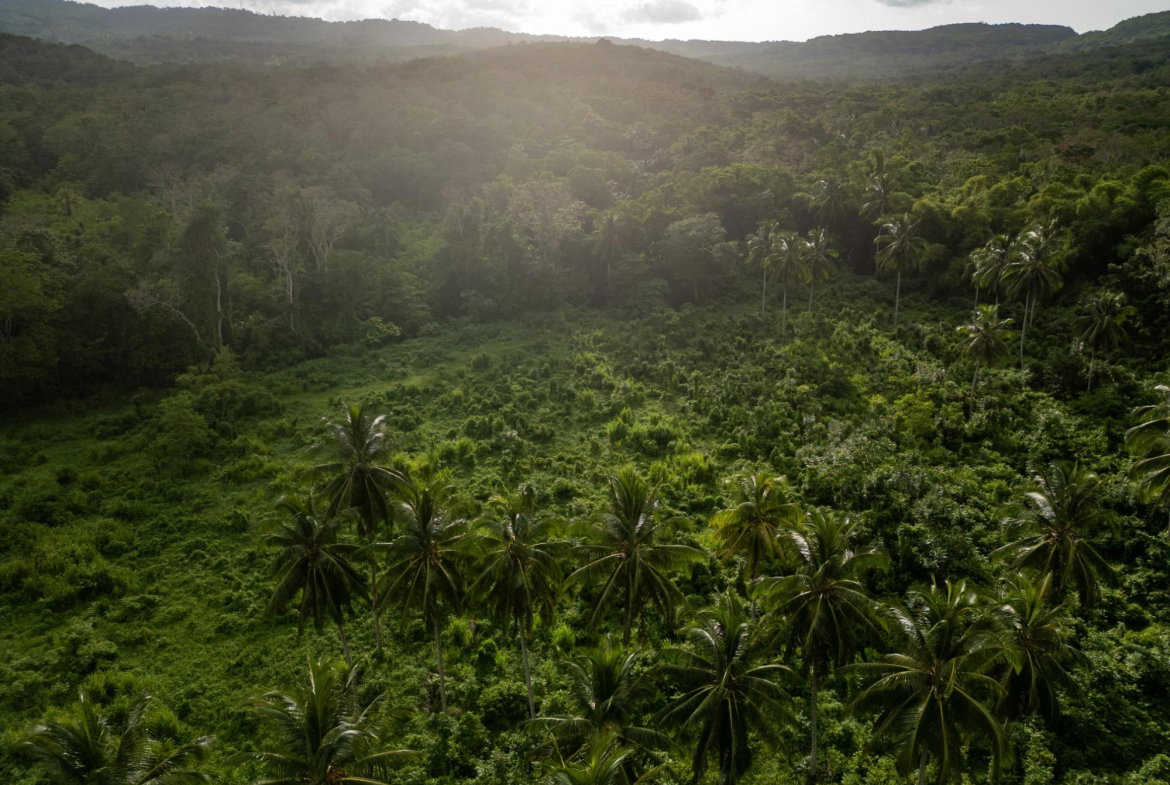 Fourth image of 5 Pemberton Valley in Jacks River, St. Mary, Jamaica - property is For Sale