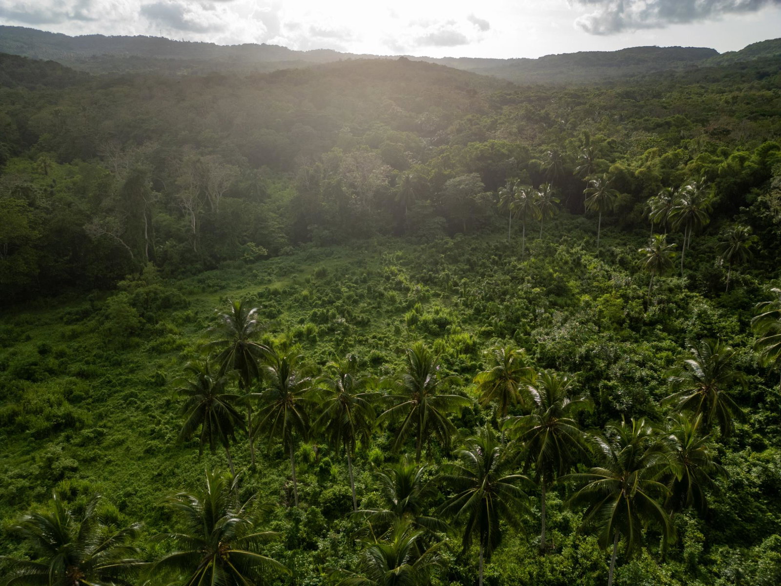 Fourth image of 5 Pemberton Valley in Jacks River, St. Mary, Jamaica - property is For Sale