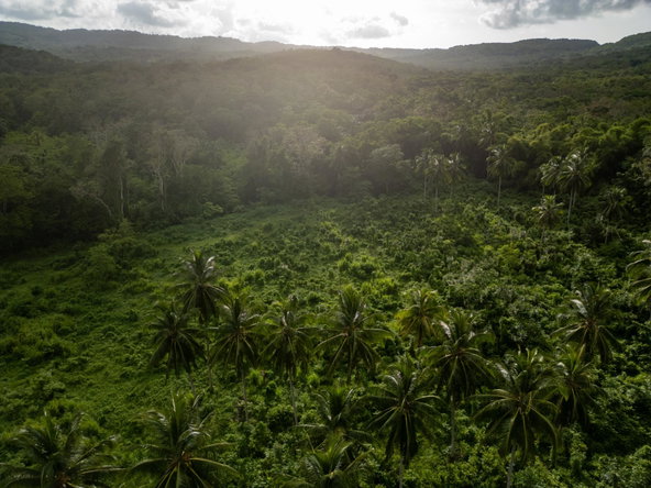 Fourth image of 5 Pemberton Valley in Jacks River, St. Mary, Jamaica - property is For Sale