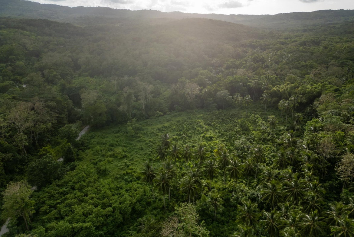 Fifth image of 5 Pemberton Valley in Jacks River, St. Mary, Jamaica - property is For Sale