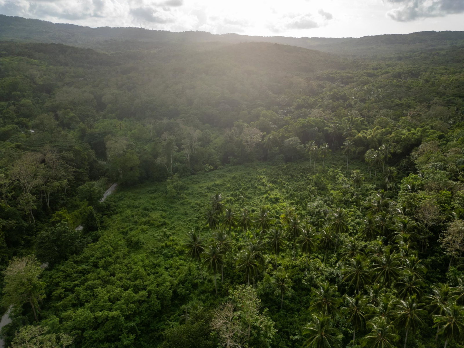 Fifth image of 5 Pemberton Valley in Jacks River, St. Mary, Jamaica - property is For Sale