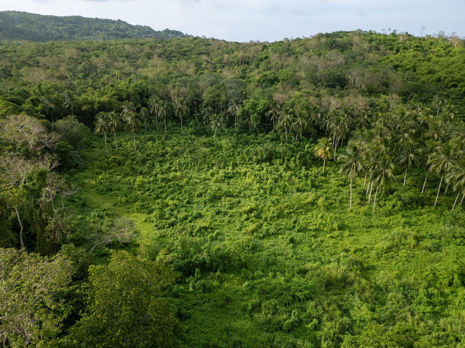 Sixth image of 5 Pemberton Valley in Jacks River, St. Mary, Jamaica - property is For Sale