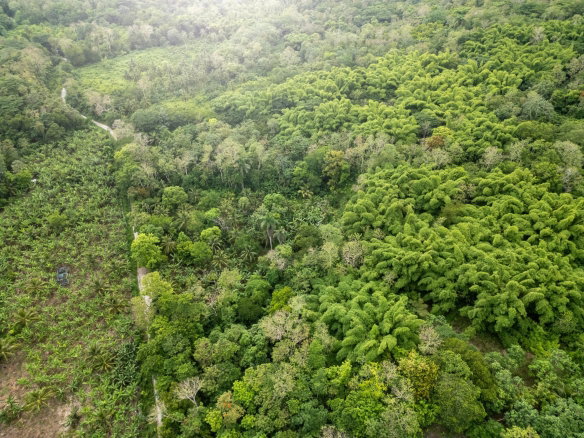 First image of 5 Pemberton Valley in Jacks River, St. Mary, Jamaica - property is For Sale