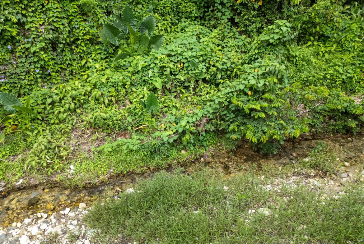 Seventh image of 5 Pemberton Valley in Jacks River, St. Mary, Jamaica - property is For Sale