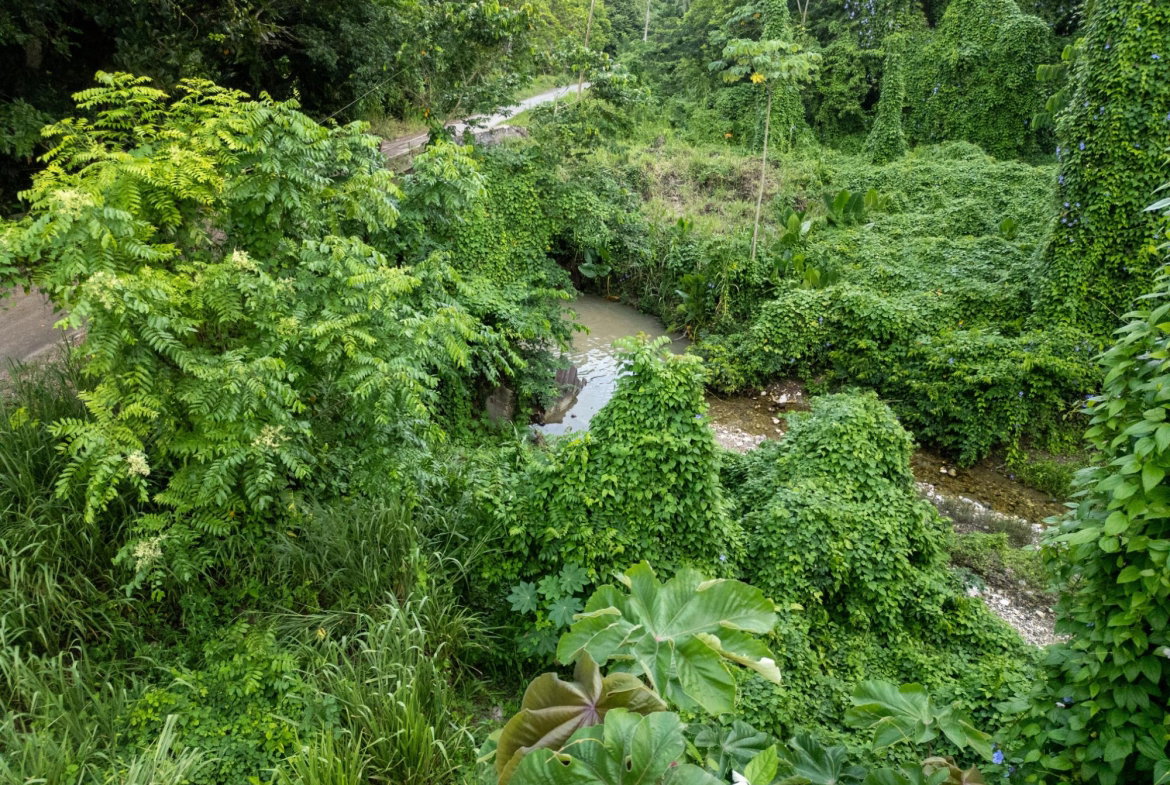 Eighth image of 5 Pemberton Valley in Jacks River, St. Mary, Jamaica - property is For Sale