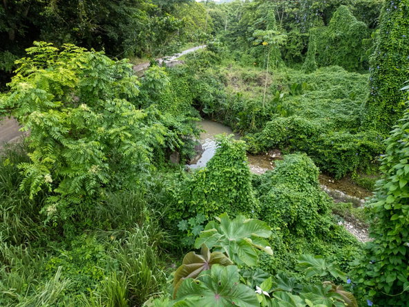 Eighth image of 5 Pemberton Valley in Jacks River, St. Mary, Jamaica - property is For Sale