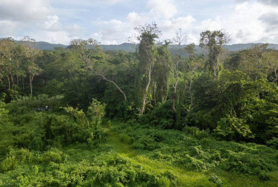 Ninth image of 5 Pemberton Valley in Jacks River, St. Mary, Jamaica - property is For Sale