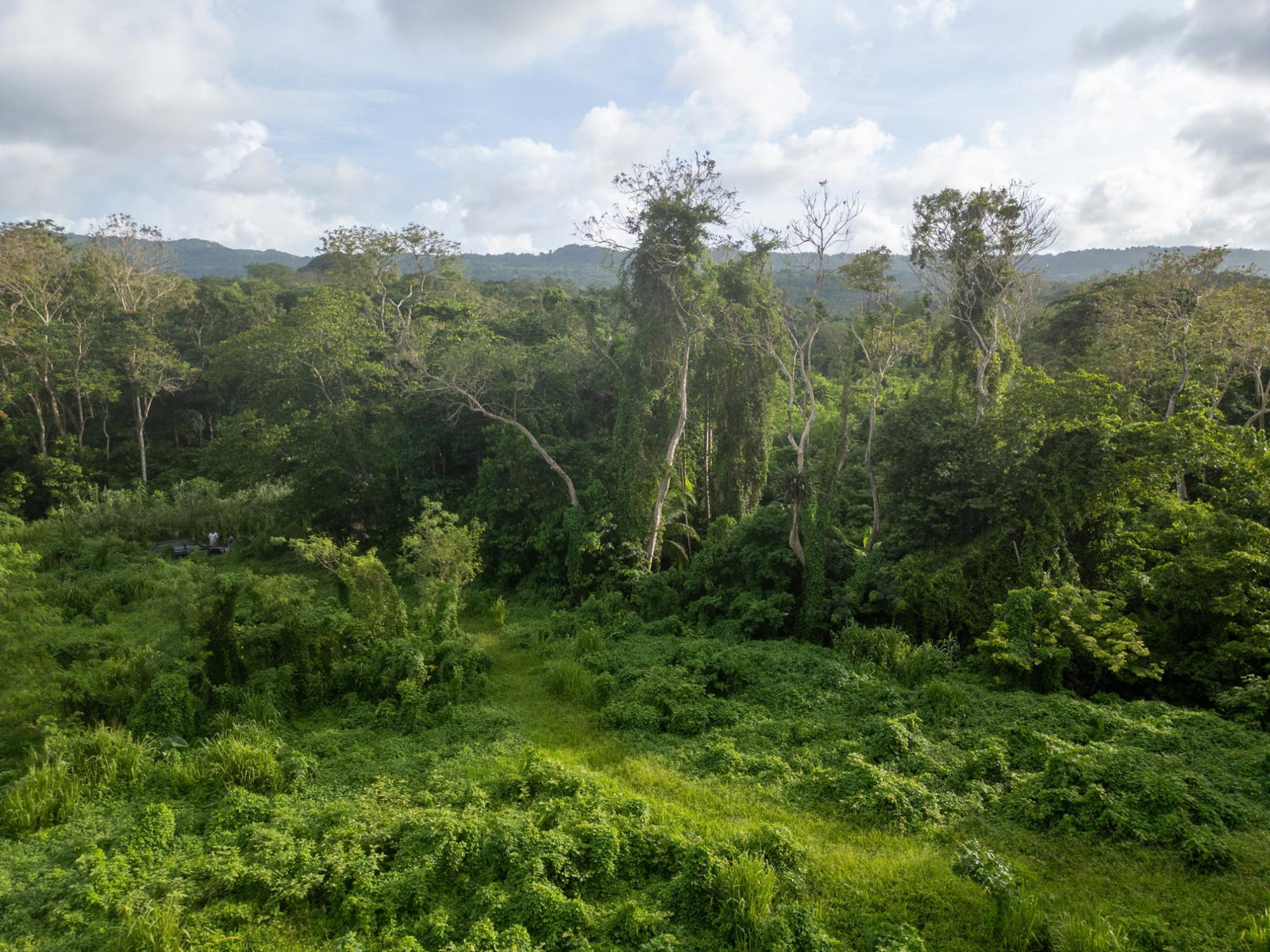 Ninth image of 5 Pemberton Valley in Jacks River, St. Mary, Jamaica - property is For Sale