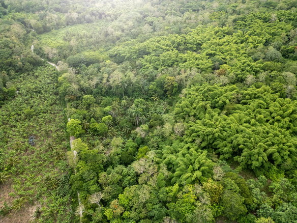 First image of 5 Pemberton Valley in Jacks River, St. Mary, Jamaica - property is For Sale