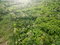 First image of 5 Pemberton Valley in Jacks River, St. Mary, Jamaica - property is For Sale