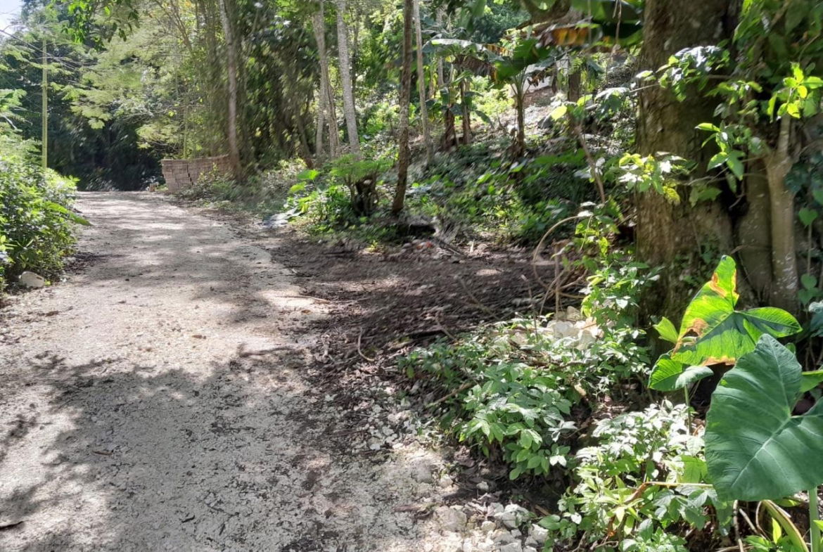 Third image of Lot 1 Gayle District St. Mary in Gayle, St. Mary, Jamaica - property is For Sale