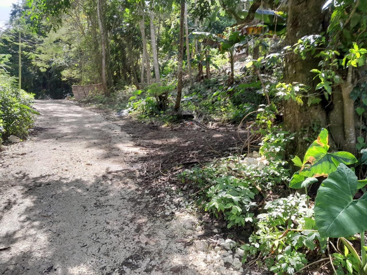 Third image of Lot 1 Gayle District St. Mary in Gayle, St. Mary, Jamaica - property is For Sale