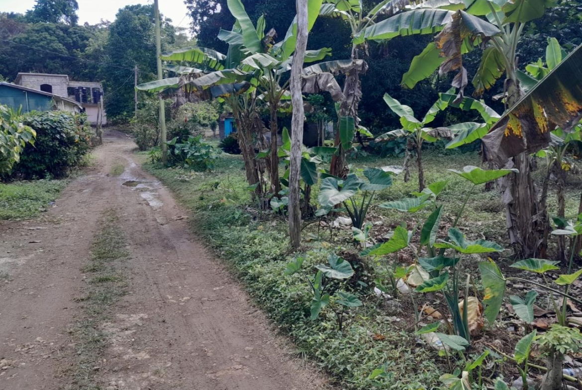 Fourth image of Lot 1 Gayle District St. Mary in Gayle, St. Mary, Jamaica - property is For Sale