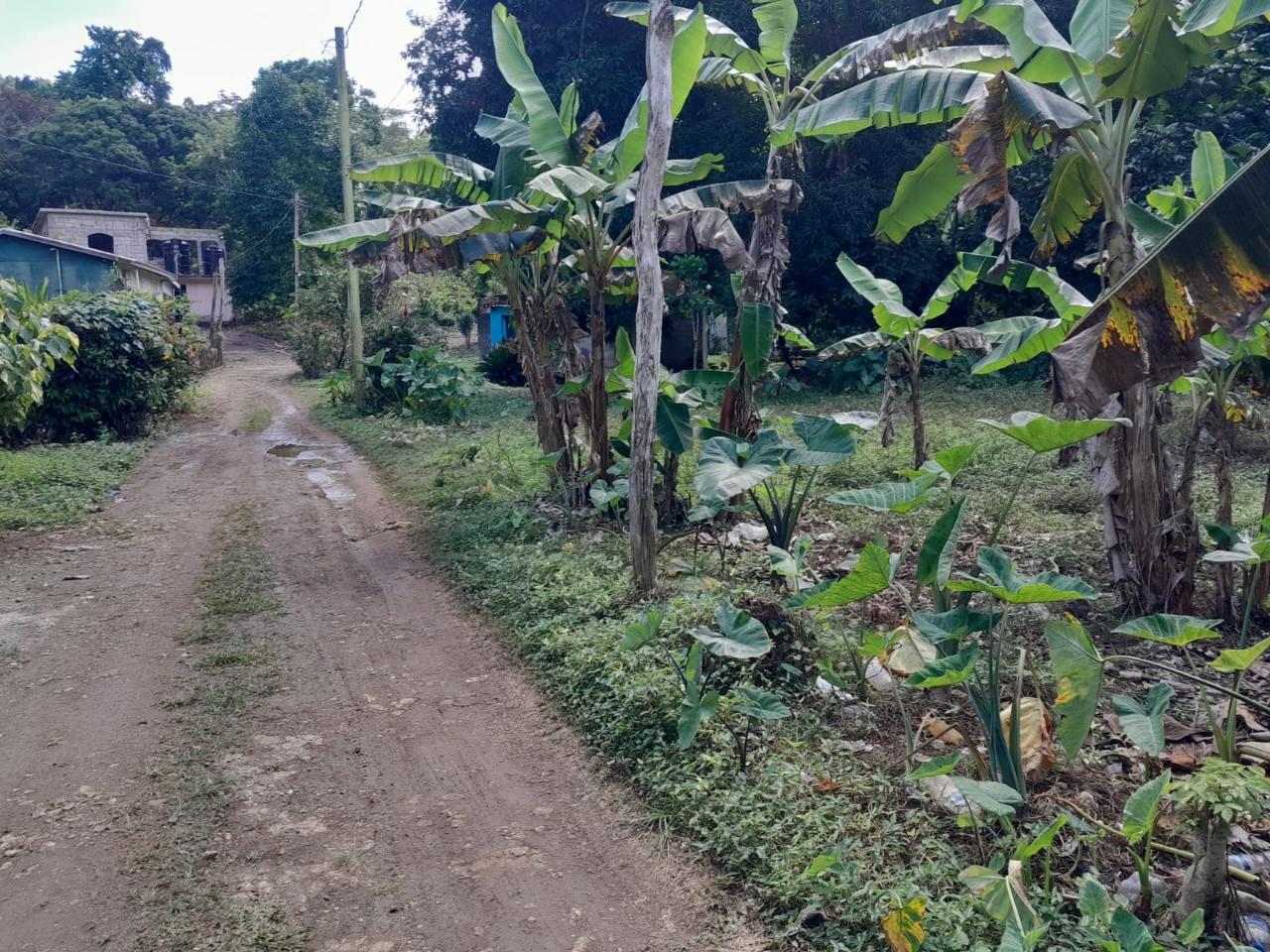 Fourth image of Lot 1 Gayle District St. Mary in Gayle, St. Mary, Jamaica - property is For Sale