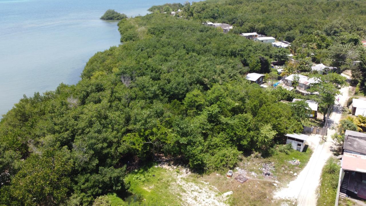 Twenty-Second image of Green Island in Green Island, Hanover, Jamaica - property is For Sale