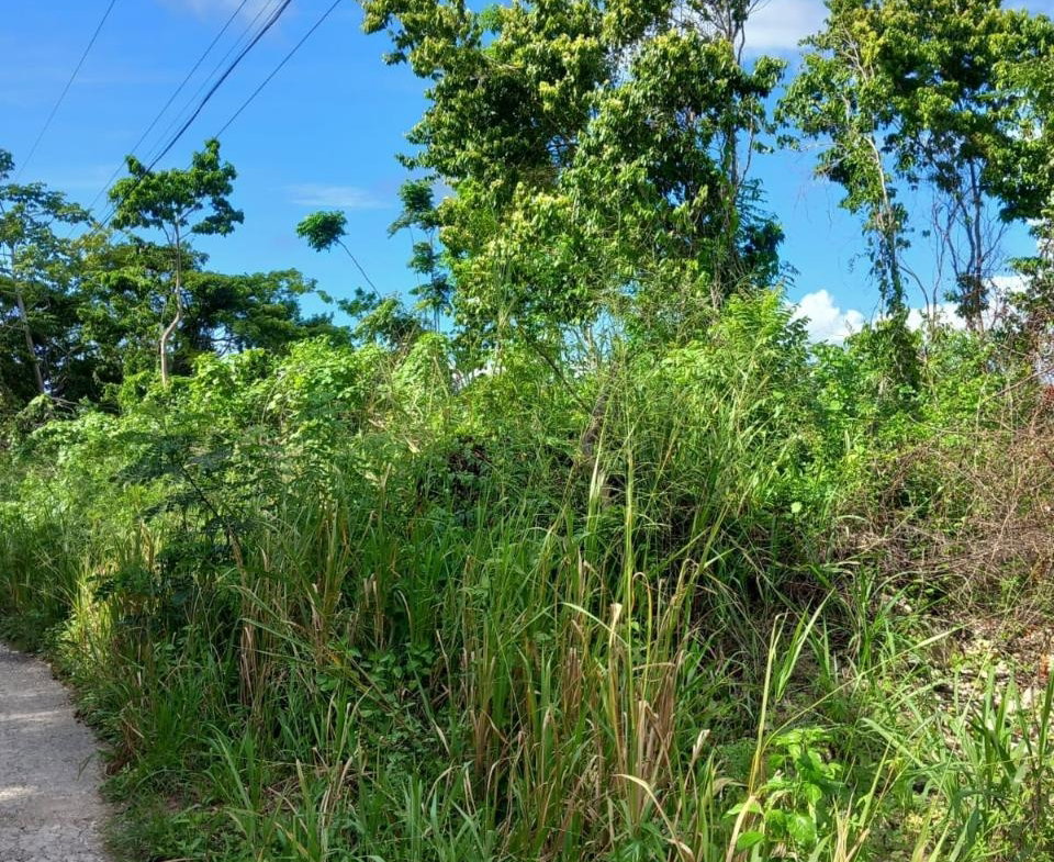 Second image of 198 Cardiff Hall in Runaway Bay, St. Ann, Jamaica - property is For Sale