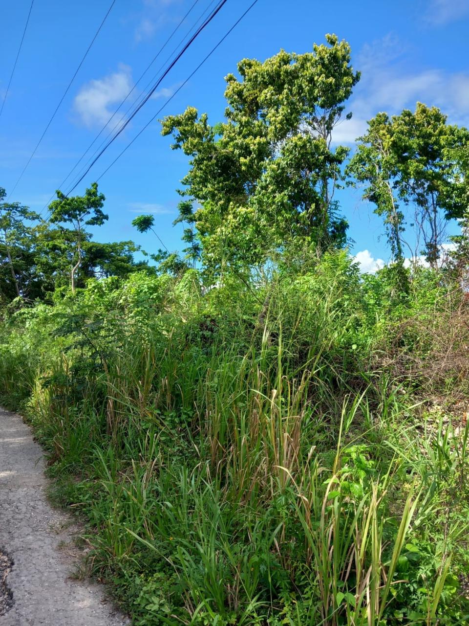 Second image of 198 Cardiff Hall in Runaway Bay, St. Ann, Jamaica - property is For Sale