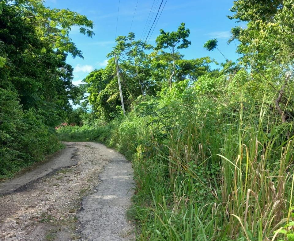 Seventh image of 198 Cardiff Hall in Runaway Bay, St. Ann, Jamaica - property is For Sale