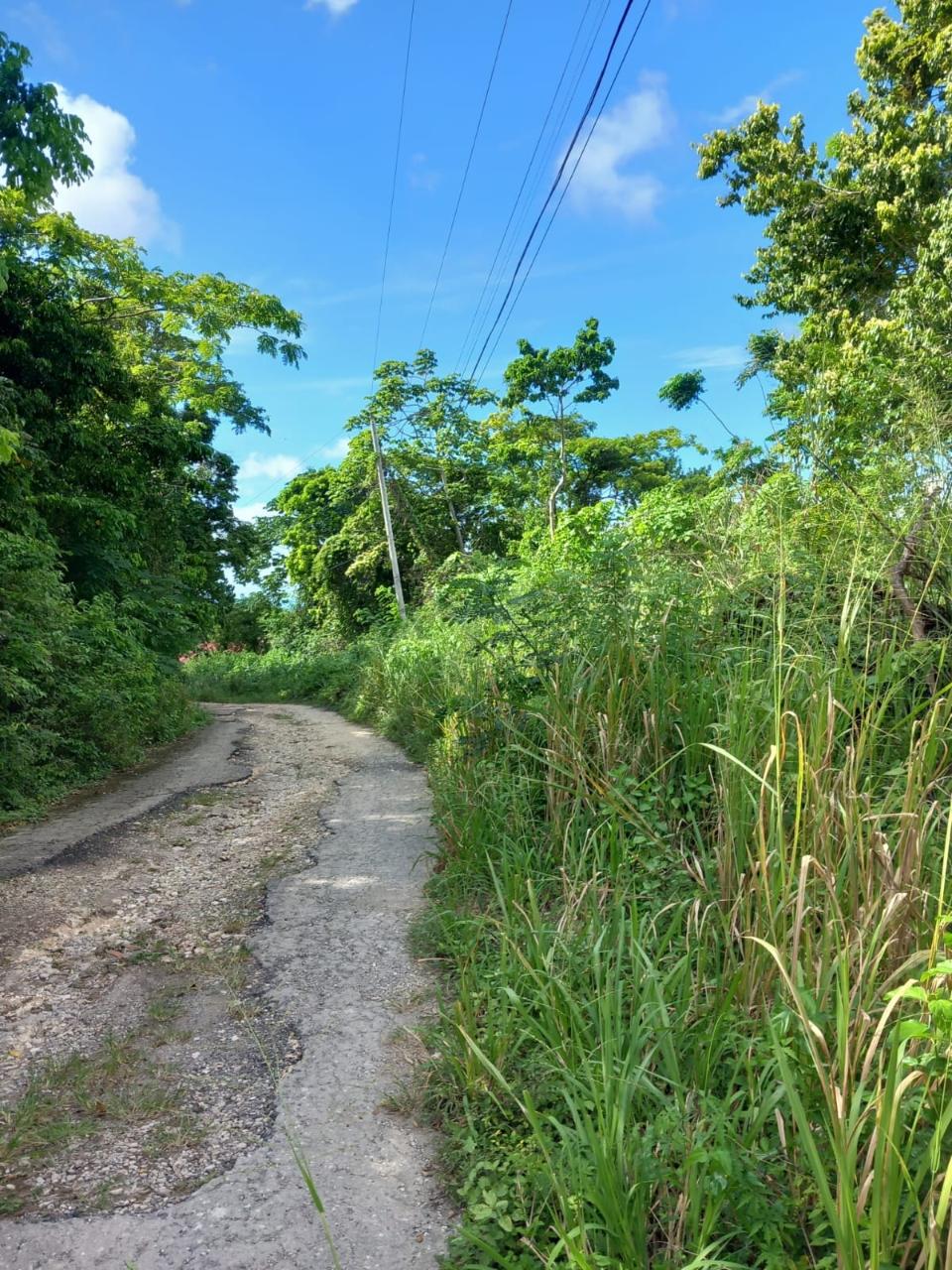 Seventh image of 198 Cardiff Hall in Runaway Bay, St. Ann, Jamaica - property is For Sale