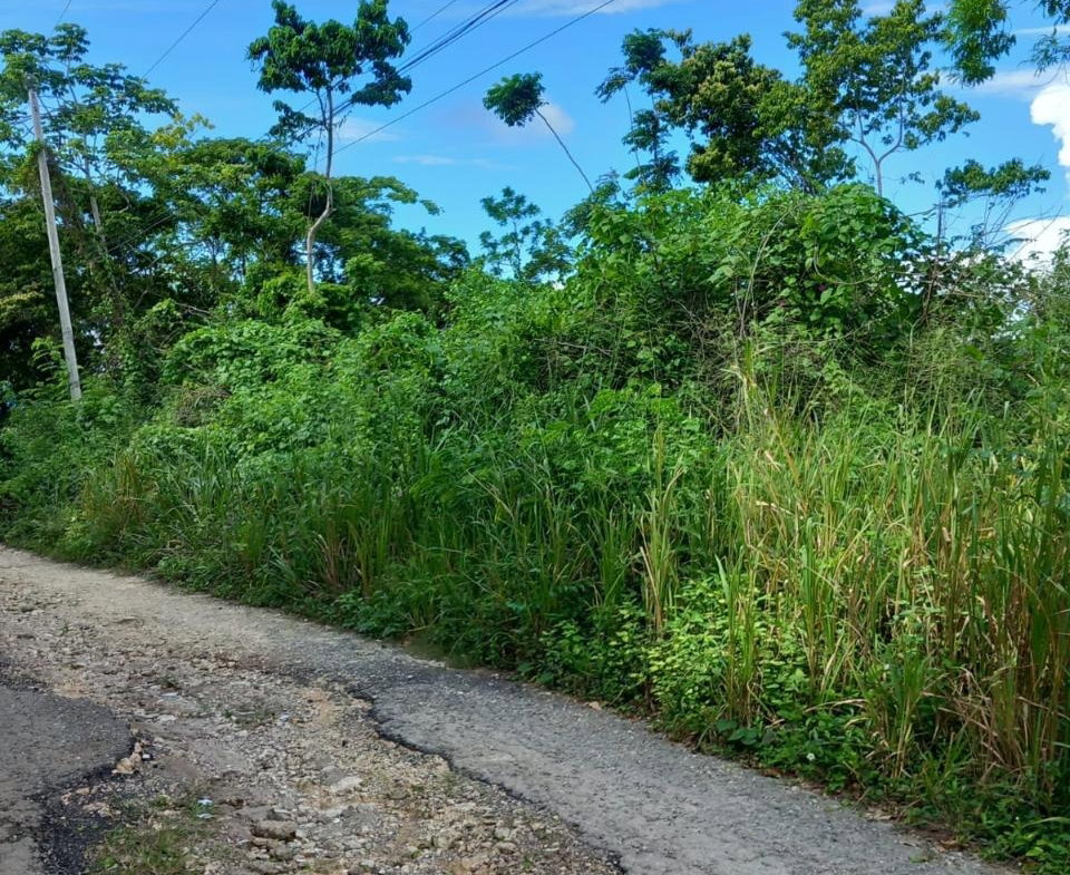 Eighth image of 198 Cardiff Hall in Runaway Bay, St. Ann, Jamaica - property is For Sale