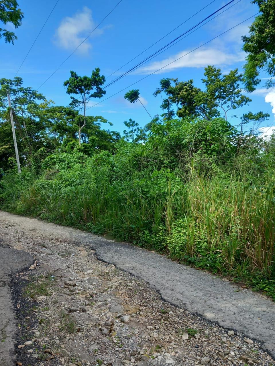 Eighth image of 198 Cardiff Hall in Runaway Bay, St. Ann, Jamaica - property is For Sale