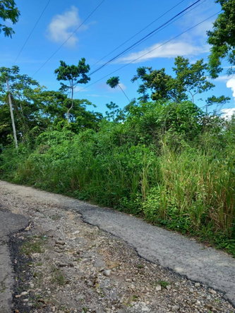 Eighth image of 198 Cardiff Hall in Runaway Bay, St. Ann, Jamaica - property is For Sale