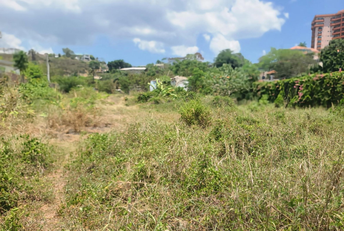 Fourth image of 5 Grosvenor Terrace in Kingston 8, St. Andrew, Jamaica - property is For Rent
