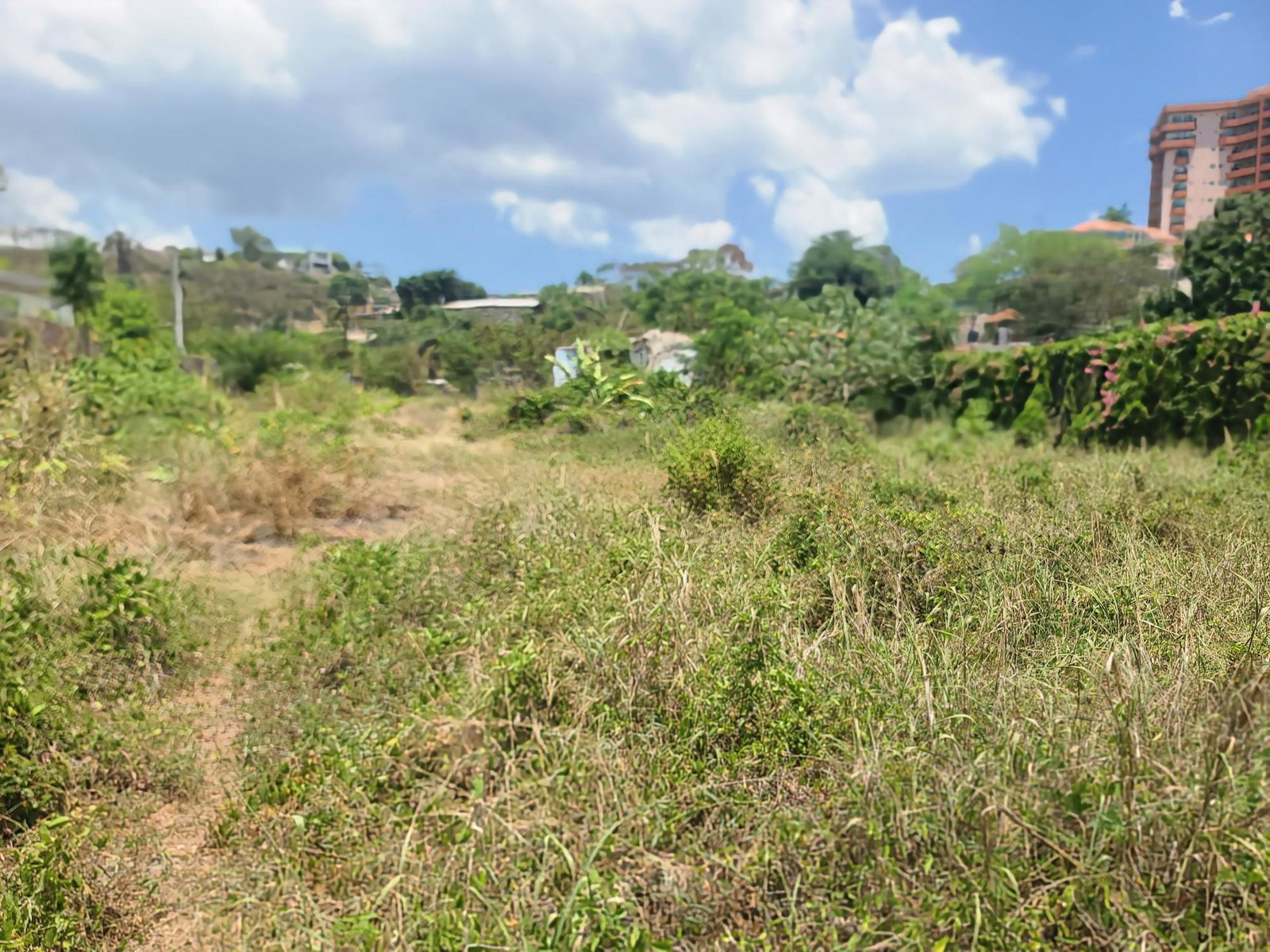 Fourth image of 5 Grosvenor Terrace in Kingston 8, St. Andrew, Jamaica - property is For Rent